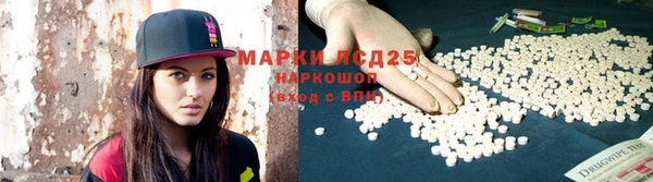ГАЛЛЮЦИНОГЕННЫЕ ГРИБЫ Осинники