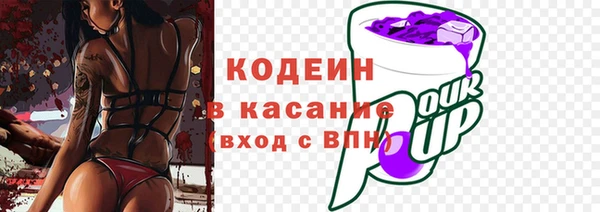 мет Няндома
