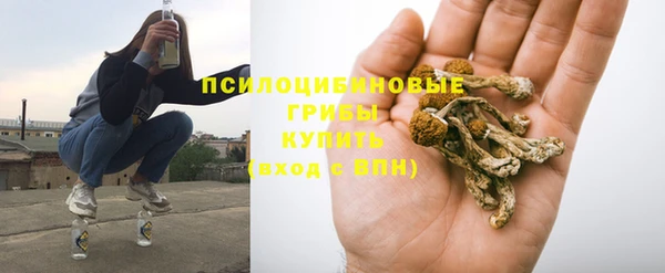 прущая мука Осташков