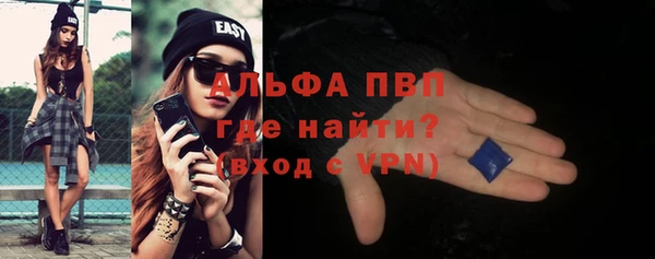 ГАЛЛЮЦИНОГЕННЫЕ ГРИБЫ Осинники