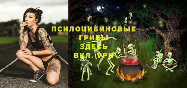 дмт Учалы