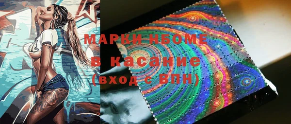 ГАЛЛЮЦИНОГЕННЫЕ ГРИБЫ Осинники