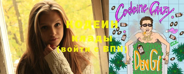 мет Няндома