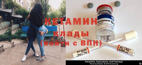 ГАЛЛЮЦИНОГЕННЫЕ ГРИБЫ Осинники