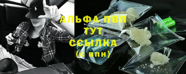 сатива Хадыженск