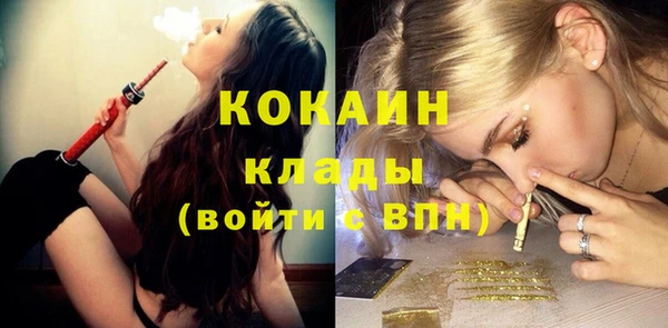 мет Няндома
