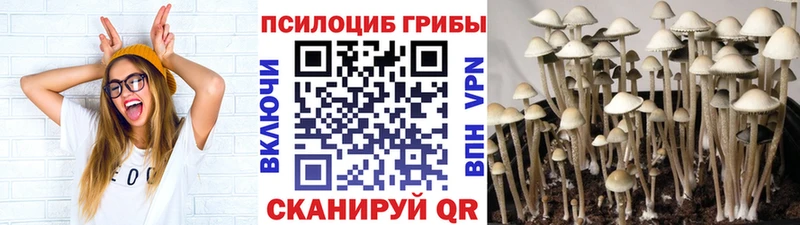 Псилоцибиновые грибы прущие грибы  купить   Колпашево 