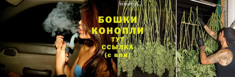 Шишки марихуана THC 21%  купить   площадка формула  Колпашево  ОМГ ОМГ  